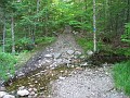 Elwell Trail NH 2010 275